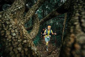 BIB: 
                            <button type="button" onclick="openModal(25696587)" class="btn btn-primary btn-sm float-right btn-popup" data-toggle="modal" data-target=".modal-high-quality">
                        <i class="fas fa-shopping-cart"></i> Add to Cart
                    </button>
                                            <button type="button" onclick="isThisMe(25696587, true)" class="btn btn-success btn-sm float-right btn-popup btn-isme hidden" data-toggle="tooltip" data-placement="bottom" title="นี่คือรูปของคุณใช่ไหม คลิกที่นี่เพื่อเอาเข้าอัลบั้ม">
                        <i class="fas fa-plus"></i> Add to album
                    </button>
                    <button type="button" onclick="isThisMe(25696587, false)" class="btn btn-warning btn-sm float-right btn-popup btn-isnotme hidden">
                        <i class="fas fa-ban"></i> Remove from album
                    </button>